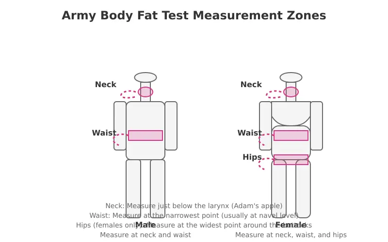 Army tape test measurement zones showing proper placement on neck, waist, and hips